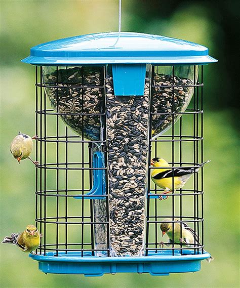 Another great find on #zulily! Blue Caged Hopper Feeder by Stokes ...