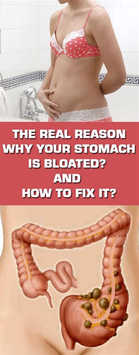 The Real Reason Why Your Stomach Is Bloated And How To Fix It - Excellent Remedies | Abdominal ...