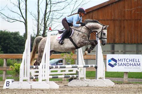 Sport Horse Nation Spotlight: Dappled Greys for Days | Eventing Nation - Three-Day Eventing News ...