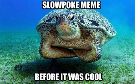 Slowpoke meme Before it was cool - Hipster displeased sea turtle ...