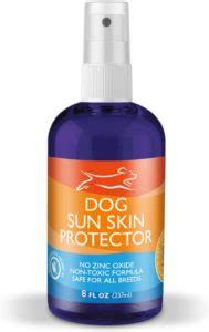 Best Dog Sunscreens to Prevent Dangerous Sunburn