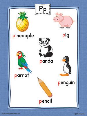 Letter P Word List with Illustrations Printable Poster (Color) | P ...