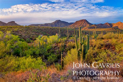 Southwestern Landscapes