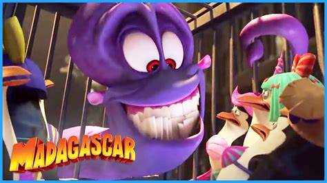 DreamWorks Madagascar | Dave's Evil Plan | Penguins of Madagascar ...