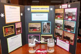 Kaylee wanted to create 'Hanging Crystals' as her science project this year. Kaylee was ...