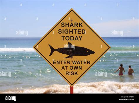 This is a shark warning sign placed on the beach at Manly, Sydney, Australia. In the background ...