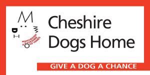 Cheshire Dogs' Home - Warrington, Cheshire - Dog Rescue Directory