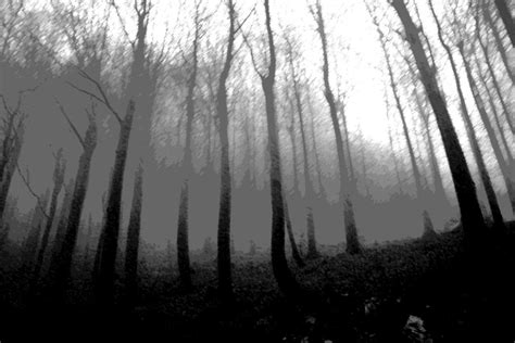 Death Forest by DeltashockOmnihorn on DeviantArt