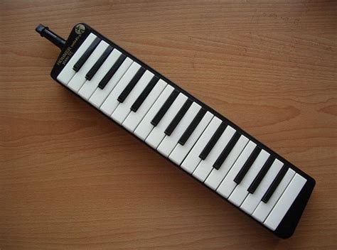 Guide to the Melodica | Sound Genetics