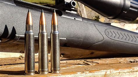 338 win mag IS A BEAST 💪💪- first shots and sighting in #deerseason # ...