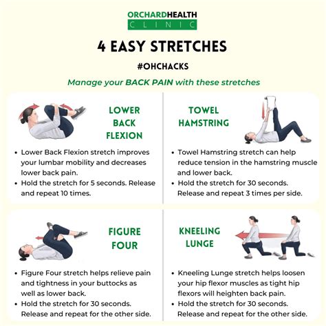 4 Easy Stretches For Back Pain - Orchard Health Clinic - Osteopathy ...