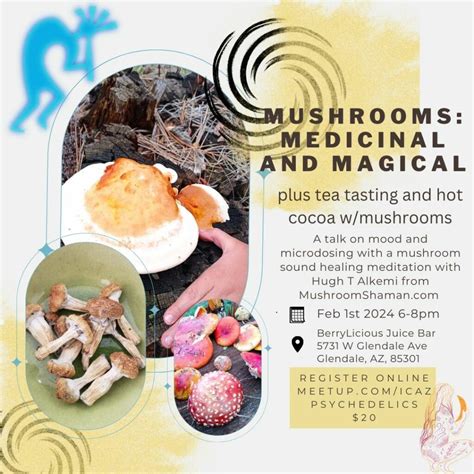 Rituals, Workshops & Retreats | MushroomShaman.com