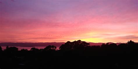 What a sunrise this morning! : r/Wellington