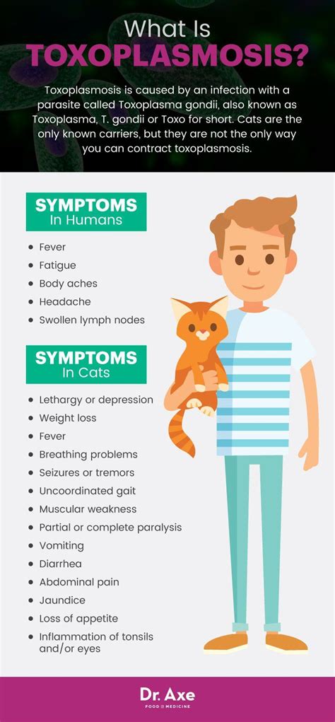 Toxoplasmosis symptoms in humans and cats | Parasite, Symptoms, Cat diseases