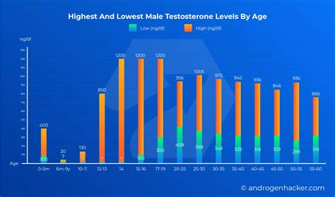 Testosterone Levels In Men By Age [Ultimate Guide] | AndrogenHacker