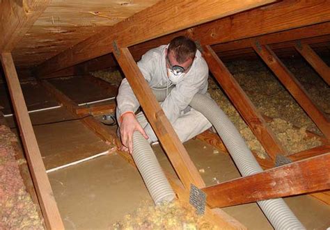 Best Way to Remove Old Insulation from Attic - Home n Gardening Tips