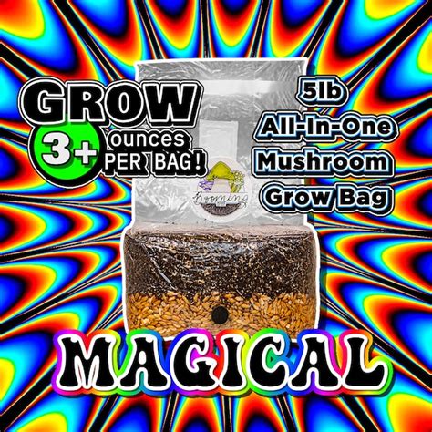 Magic Mushroom - Etsy