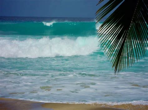 The Ultimate Guide to Barbados Surfing - Surf Atlas