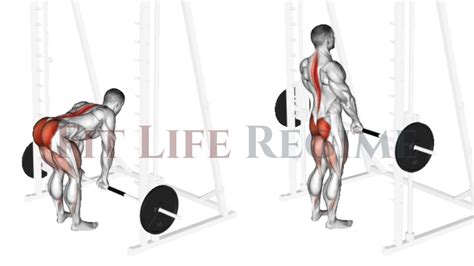 12 Most Effective Smith Machine Leg Workout & Exercises