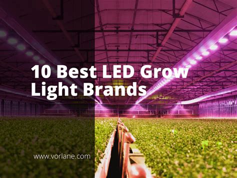 10 Best LED Grow Light Brands - Vorlane