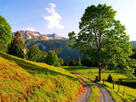 Sunny Mountain Path 1280 x 960 Wallpaper