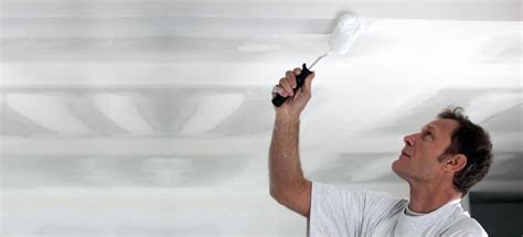 The ULTIMATE Guide: Painting Newly-Plastered Ceiling & Walls