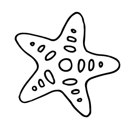 Premium Vector | Sea star doodle outline hand drawn isolated vector ...