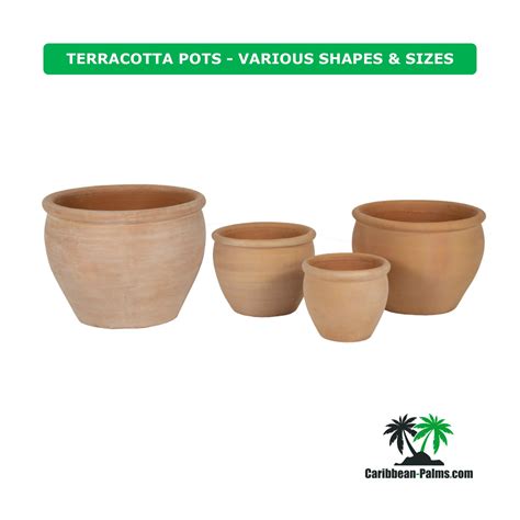 TERRACOTTA POTS - VARIOUS SHAPES & SIZES | Caribbean-Palms.com