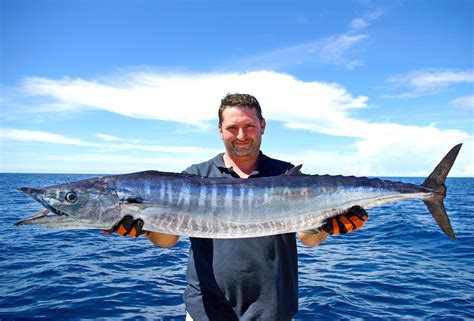 Mackerel Islands Fishing - A Buff's Dream - Mackerel Islands