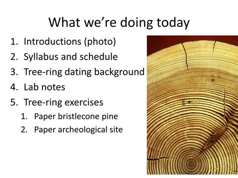 PPT - Introduction to Dendrochronology Lab PowerPoint Presentation, free download - ID:2476725