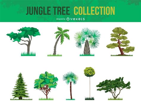 Vector Jungle Tree Collection Vector Download