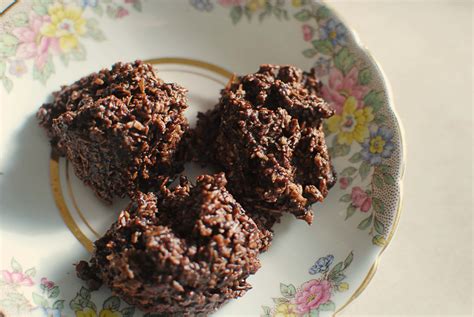 No-Bake Chocolate Coconut Macaroons (Grain-free, Dairy-free, No Refined Sugar) - Red and Honey