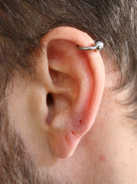 Helix-Piercing - Wikiwand