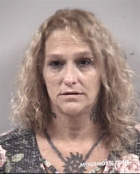 ANNETTE LUCAS JOHNSON 11/20/2022 - Johnston County Mugshots Zone