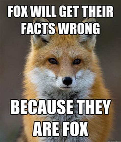 Fun Fact Fox Meme (60 pics)