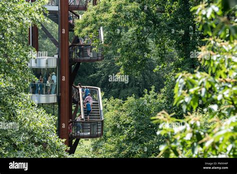 Tree Top Walkway - Kew Gardens Stock Photo - Alamy