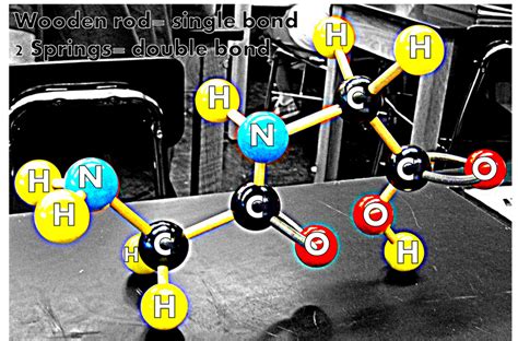 labeled dipeptide by randomperson77 on DeviantArt