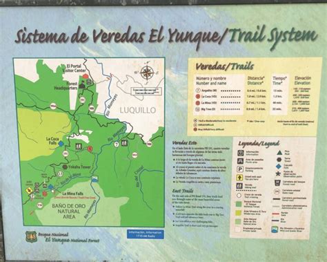 El Yunque Waterfall & Hiking Guide - Snorkel and Hike