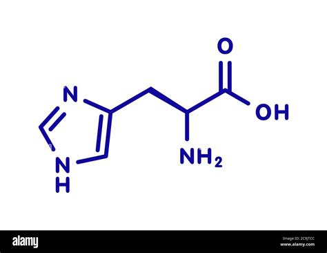 Histidine (l-histidine, his, H) amino acid molecule. Blue skeletal ...