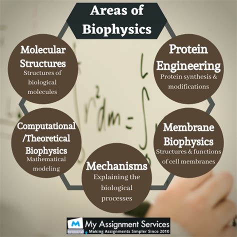 Biophysics Assignment Help Canada | Homework Help by Top Biophysics Experts