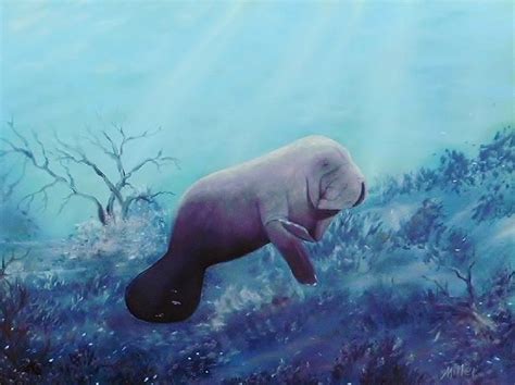 Manatee Painting by Peggy Miller - Fine Art America