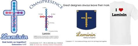 Is Laminin a Christian Symbol?