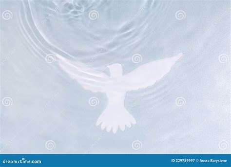 Silhouette of White Dove on Water Background. Baptism Symbol Stock ...