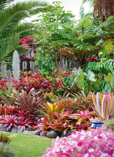 Garden of the week: A dazzling bromeliad-rich oasis | Tropical garden design, Tropical ...