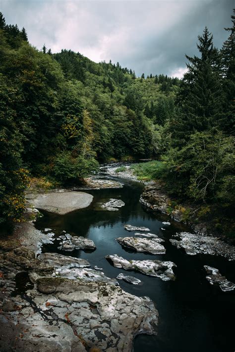 Christopher M Fowler - Tillamook State Forest, OR | September 2016