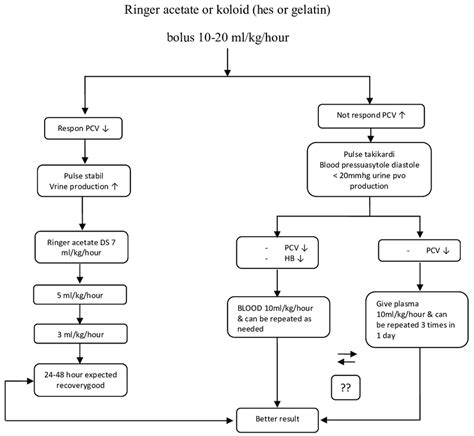 Algorithm for fluid management in compensated shock (WHO, 2009 with... | Download Scientific Diagram