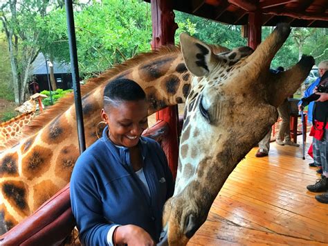 Giraffe Centre in Nairobi – Venture Savannah Tours & Travel