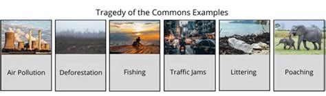 Tragedy of Commons to Governing of Commons – Key to Sustainability | Sushant University blog