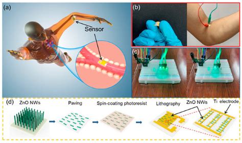 Biosensors | Special Issue : Smart, Connected, and Portable Biosensors and Bioelectronics for ...