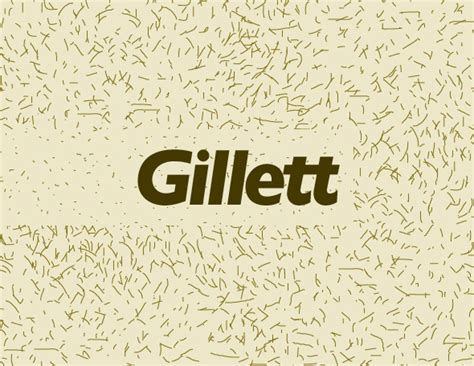 Gillett | Project Wisconsin